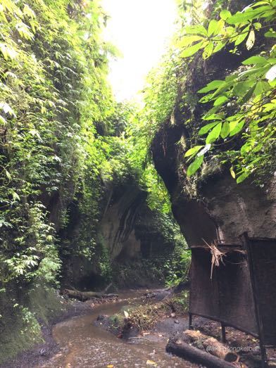 トゥカッ・チュプンの滝へ行ってみました。その2 \"Jalan2 ke Air Terjun Tukad Cepung II”_a0120328_18563867.jpg