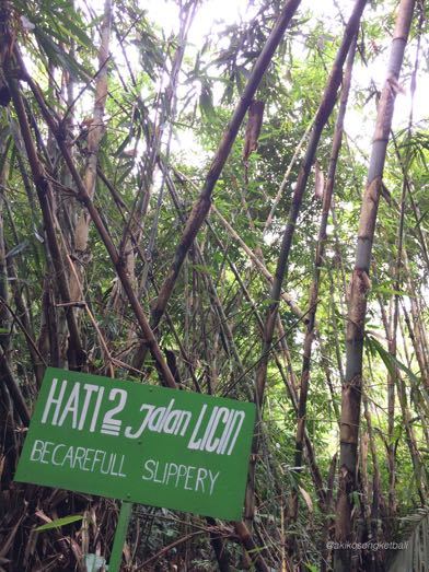 トゥカッ・チュプンの滝へ行ってみました。その3 \"Jalan2 ke Air Terjun Tukad Cepung III”_a0120328_18573263.jpg
