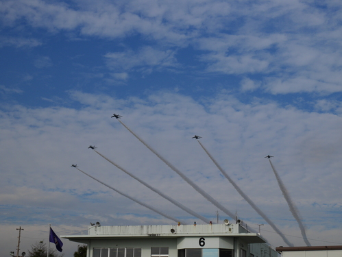 a0220528_16205449.jpg