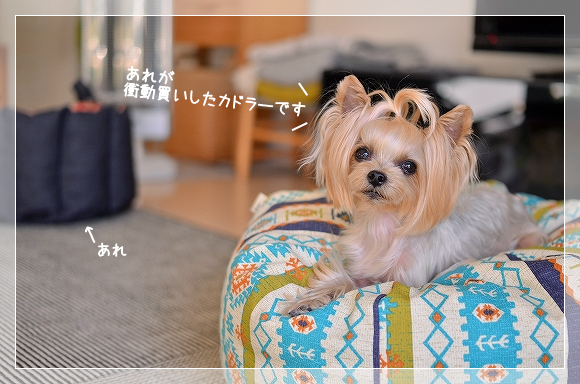 d0179828_09074285.png