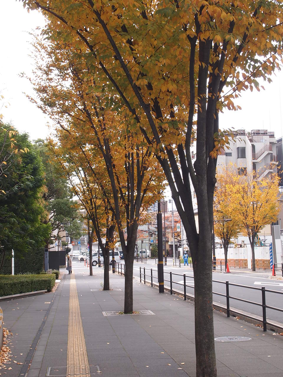 足立区T様邸システムキッチン用混合水栓交換します。_a0214329_16555655.jpg
