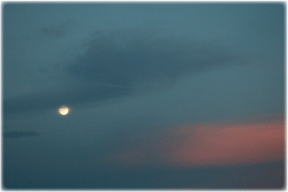 c0107829_20334570.gif