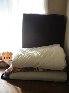 b0320131_12232279.png