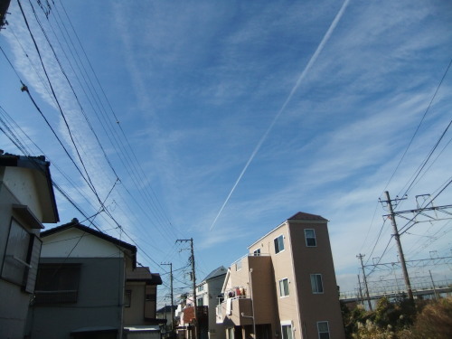 カワセミに遭遇.._b0137932_12043517.jpg