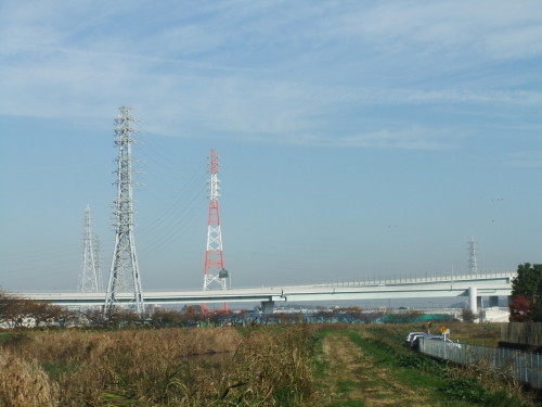 カワセミに遭遇.._b0137932_12083331.jpg