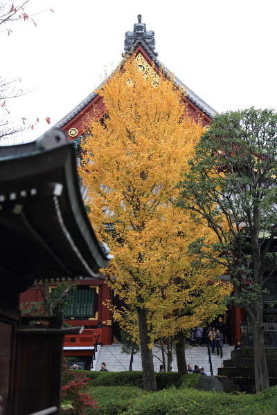 f0229832_09221986.jpg