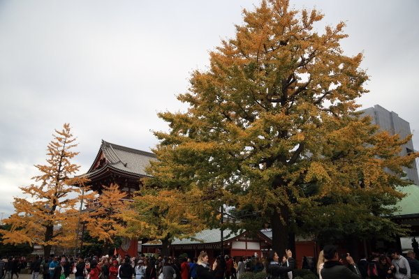 f0229832_09222837.jpg