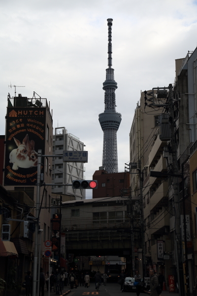 f0229832_09234548.jpg