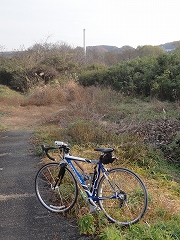 c0147935_2036552.jpg