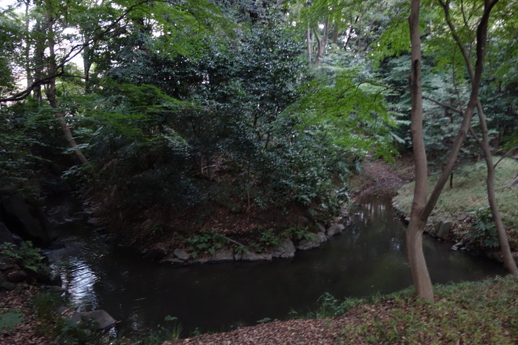 a0287336_064315.jpg