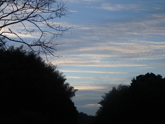 a0054240_2142544.jpg