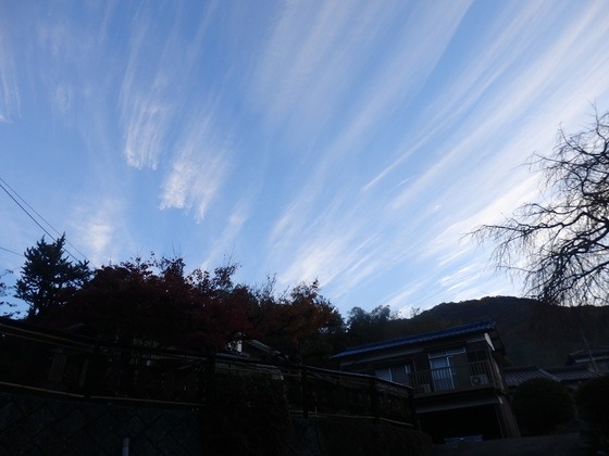 a0054240_21443639.jpg