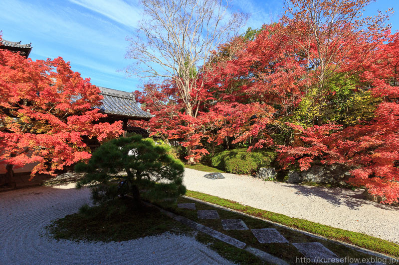 京都の紅葉　南禅寺　三門からの眺め_b0325840_19394759.jpg