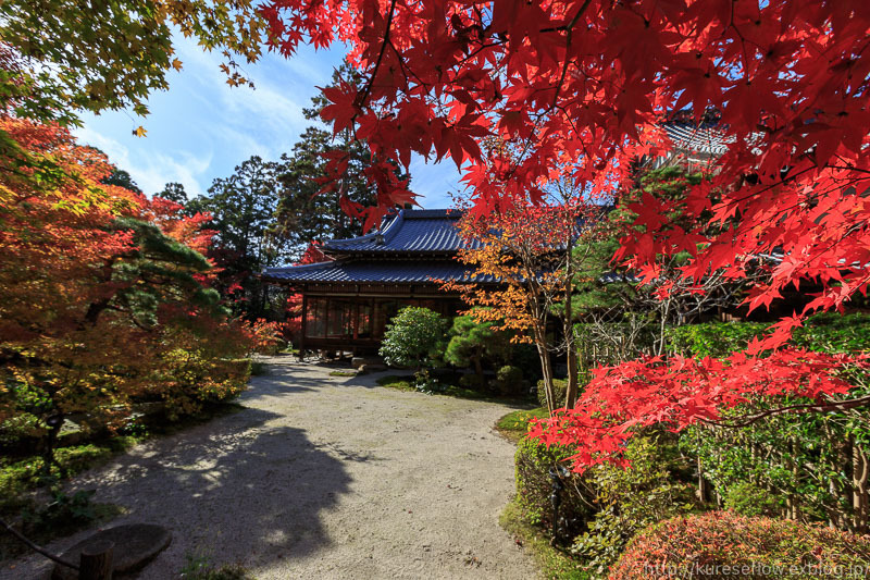 京都の紅葉　南禅寺　三門からの眺め_b0325840_19402718.jpg