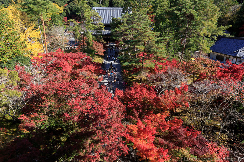 京都の紅葉　南禅寺　三門からの眺め_b0325840_19412172.jpg