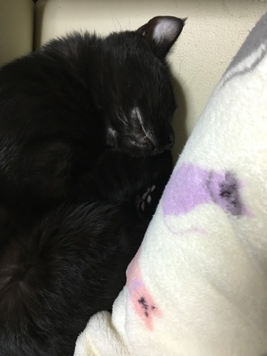 b0341440_14225327.jpeg