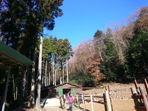 e0145441_23141109.jpg