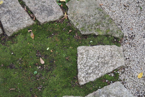 d0027243_12025056.jpg