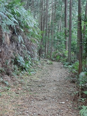 ３日目「三浦峠道（熊ヶ谷道）」_f0019247_22411323.jpg