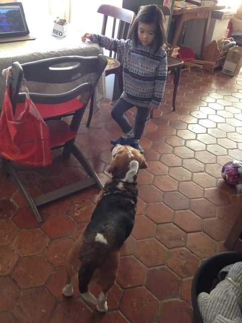 b0069848_06421501.jpeg