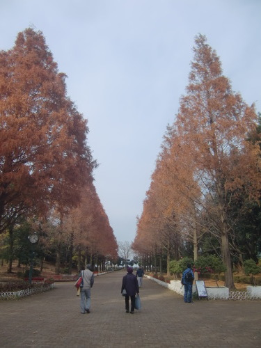 f0329849_22101016.jpg