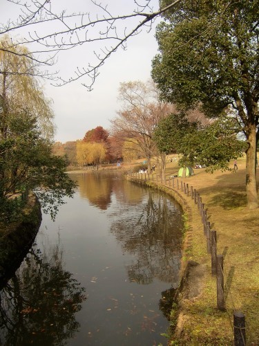 f0329849_22224892.jpg
