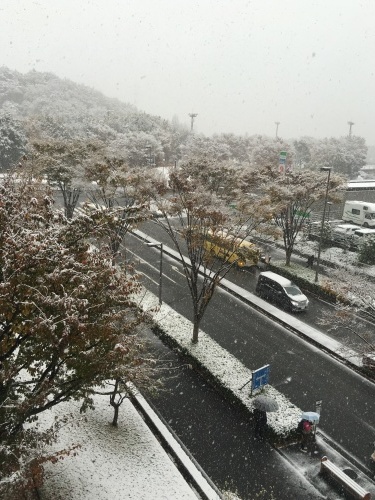 11月。まさかの初雪！！_f0074254_02475946.jpeg