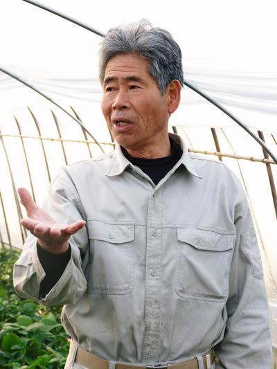 熊本産高級イチゴ 平成28年度の予約発売スタート!!(牛島農園さんの完熟紅ほっぺ編) _a0254656_1803260.jpg