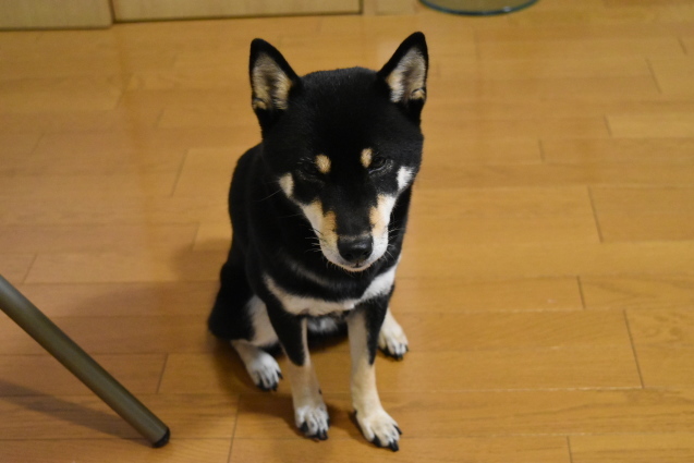 f0363156_00082899.jpg