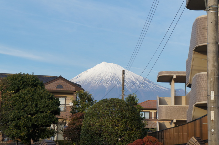 a0314360_2134183.jpg