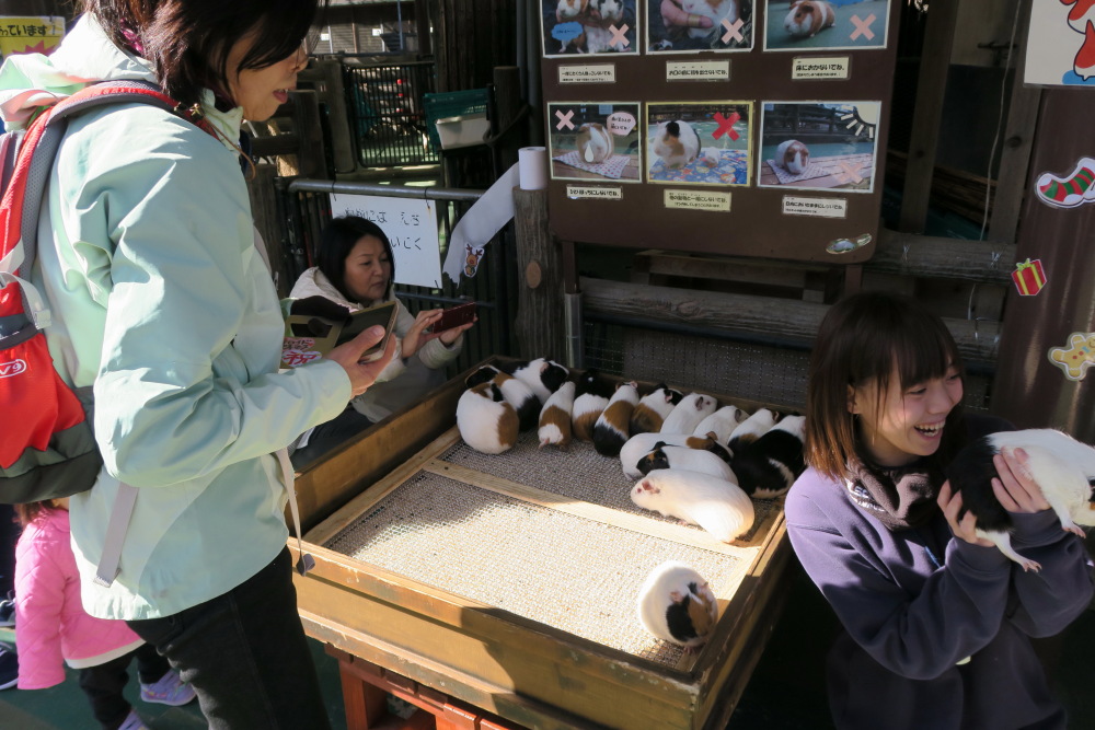 2016年11月26日 こども自然公園 紅葉狩り_c0127663_1818365.jpg