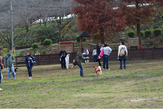 b0242873_23300561.png