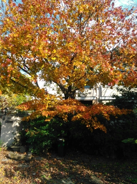 c0162773_01293701.jpg