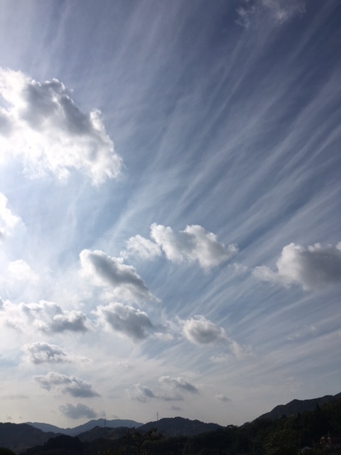 c0334574_19461752.jpg