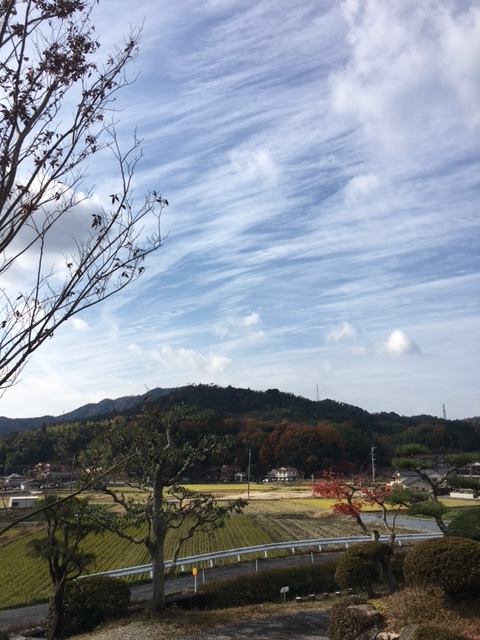 c0334574_19480104.jpg