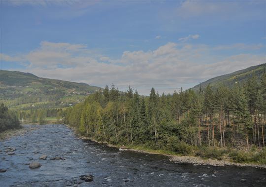 b0346378_20382461.jpg