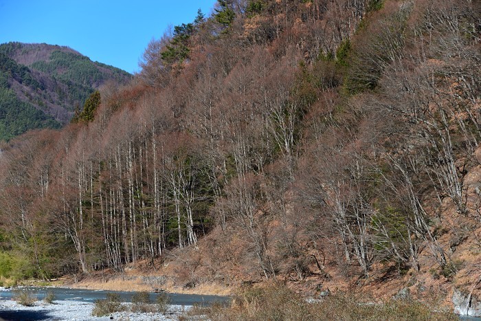 鋸岳と三峰川_d0341880_07512430.jpg