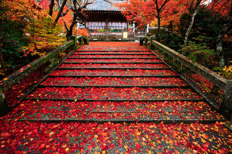 紅葉2016！　～鍬山神社～ - 京都憧憬！