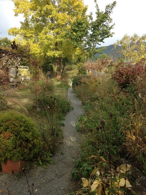 ガーデン合宿　en automne  ②　Garden soil へ_b0167282_02464472.jpg