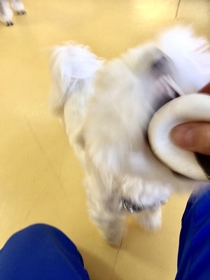 大好きなおもちゃ遊び★_f0357682_20160398.jpg
