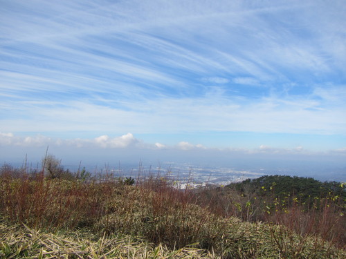 a0251786_20482998.jpg