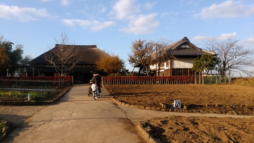 e0030586_11402621.jpg