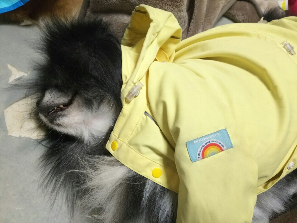 c0128896_15212929.jpg