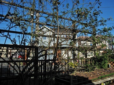 c0117898_15241314.jpg