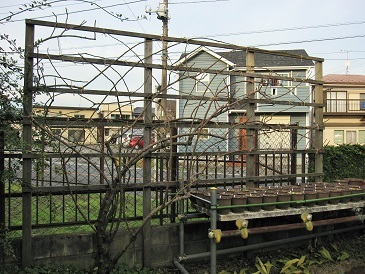 c0117898_15253989.jpg