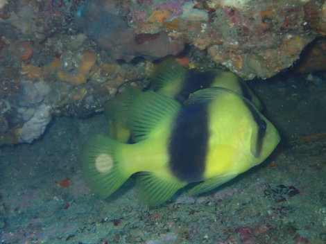 e0115199_13204618.jpg