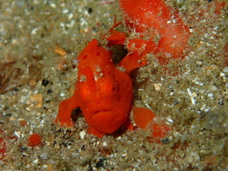 e0115199_13243916.jpg