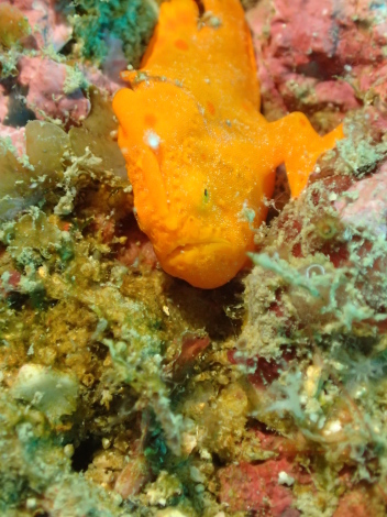 e0115199_17254984.jpg