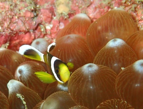 e0115199_17512822.jpg