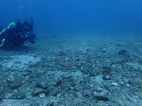 e0115199_17550049.jpg